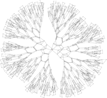 SL(2,Z), with an inefficient choice of generators